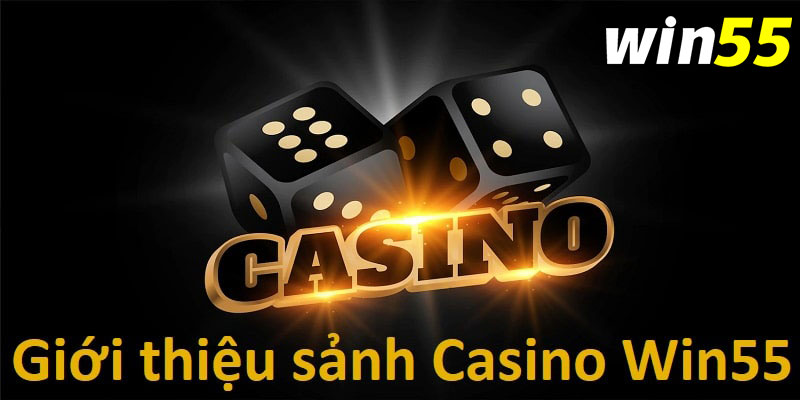 Khái quát về sảnh game casino Win55