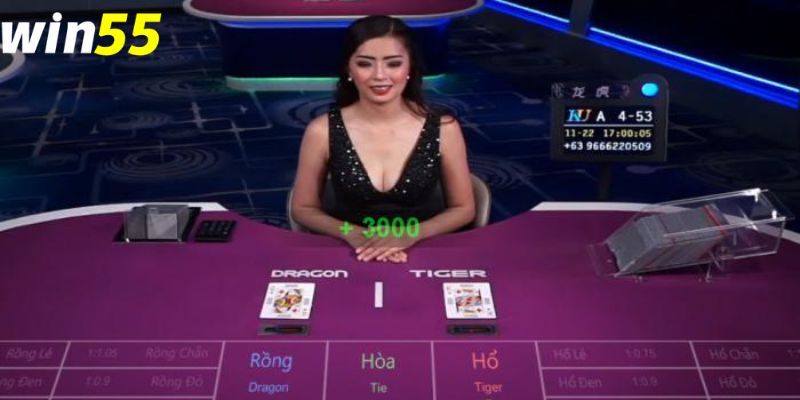 Lưu ý từ Win55 bạn cần phải hiểu rõ